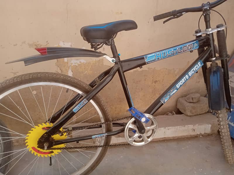 Pakistani Bicycle 0