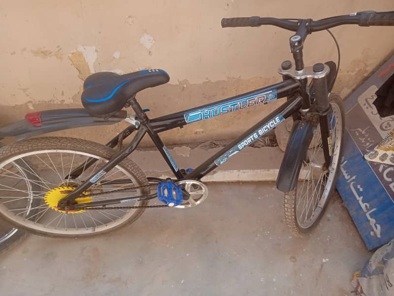 Pakistani Bicycle 1