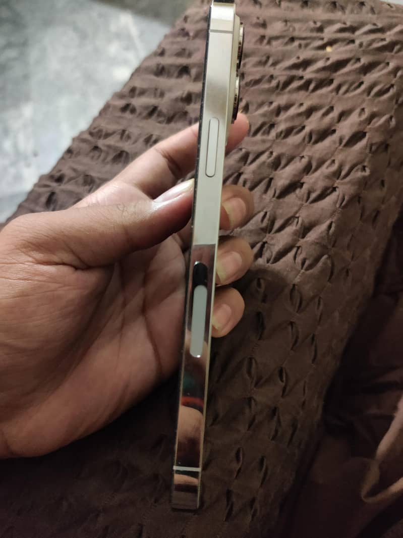 Apple iPhone 13 Pro Max 2