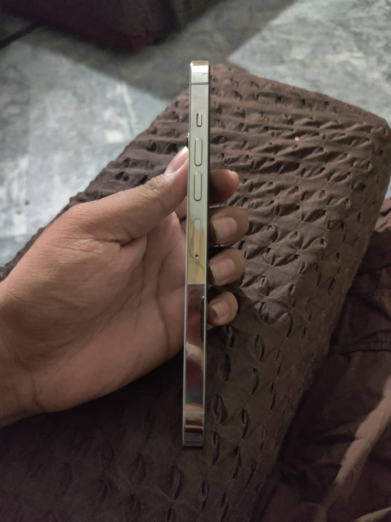 Apple iPhone 13 Pro Max 4