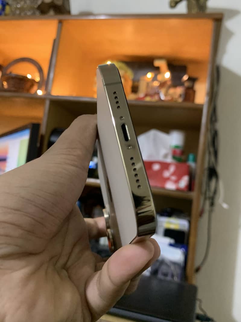 Apple iPhone 13 Pro Max 2