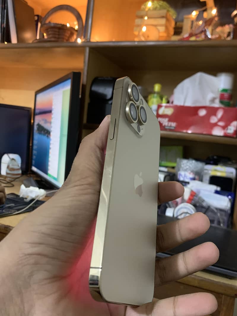 Apple iPhone 13 Pro Max 3