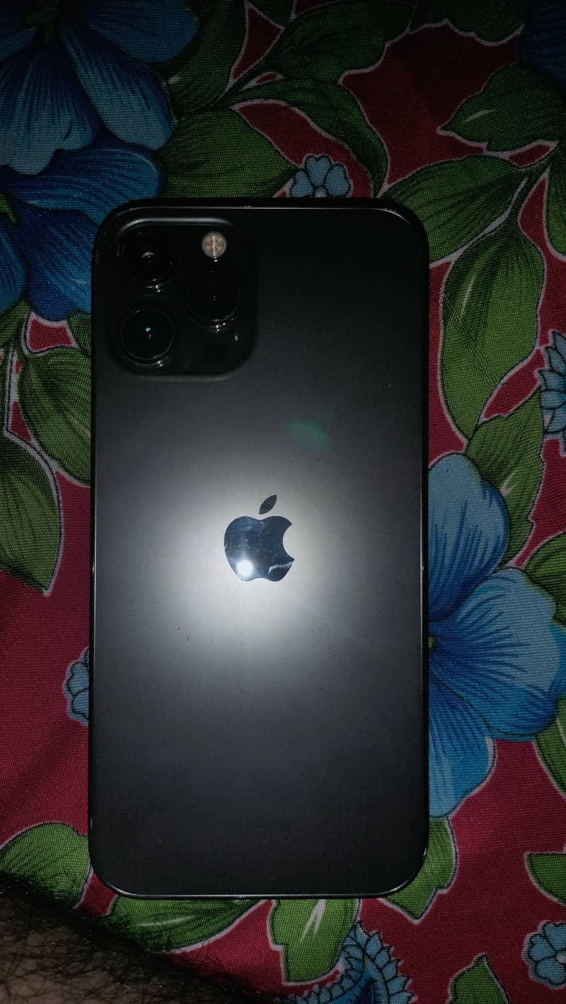 Apple iPhone 12 Pro Max 0