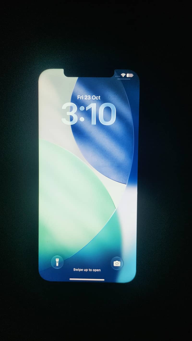 Apple iPhone 12 Pro Max 1
