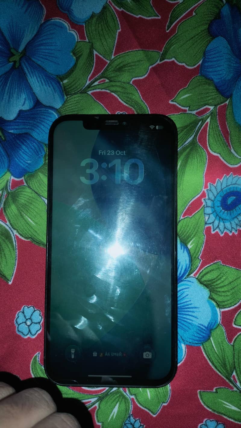 Apple iPhone 12 Pro Max 2