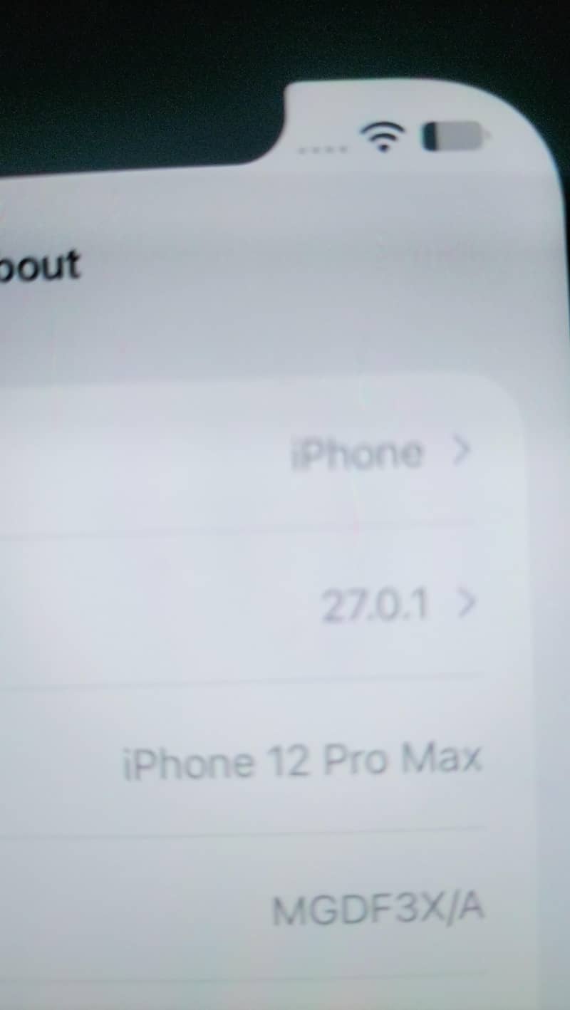 Apple iPhone 12 Pro Max 5