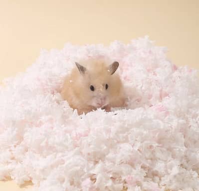 hamster cages and other accessories
