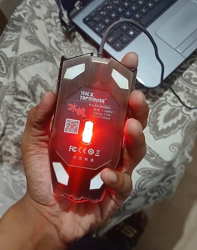 Computer Mouse 1