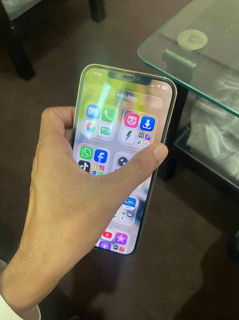 Apple iPhone 12 Pro Max 1