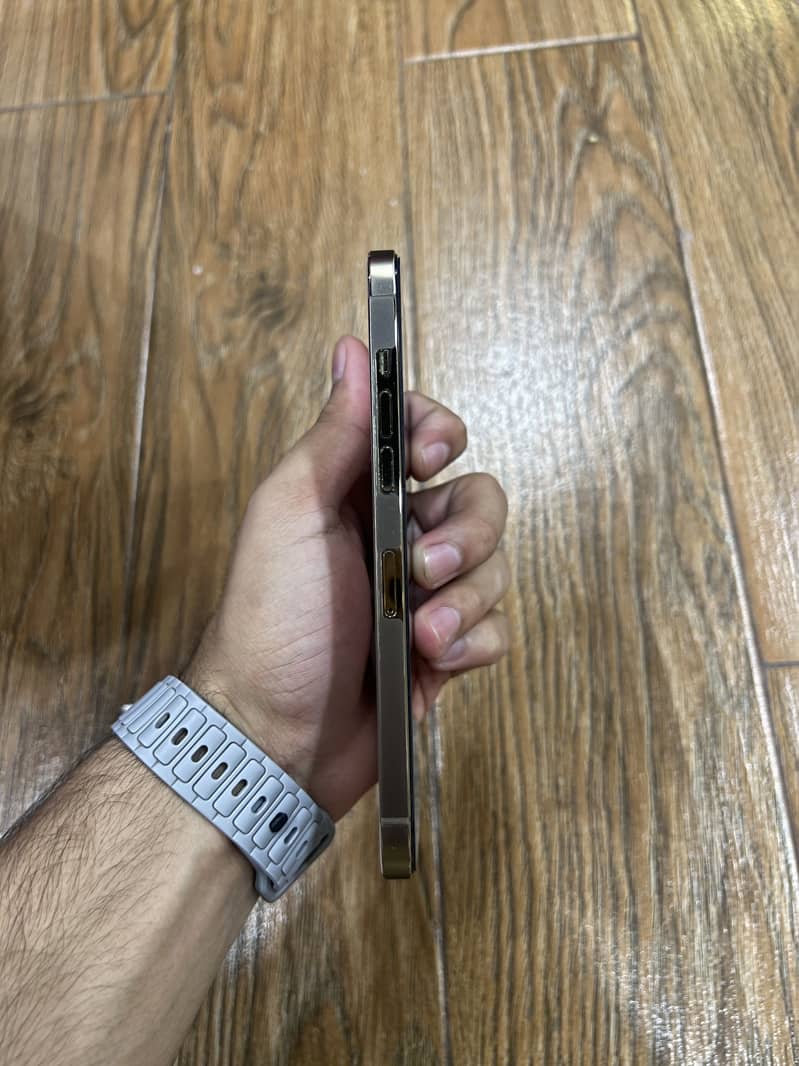 Apple iPhone 12 Pro Max 2