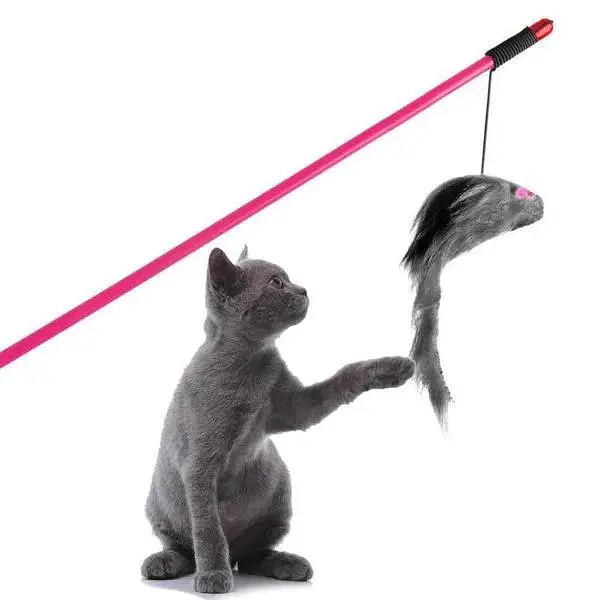 CAT FOOD BUSINESS — photo 7