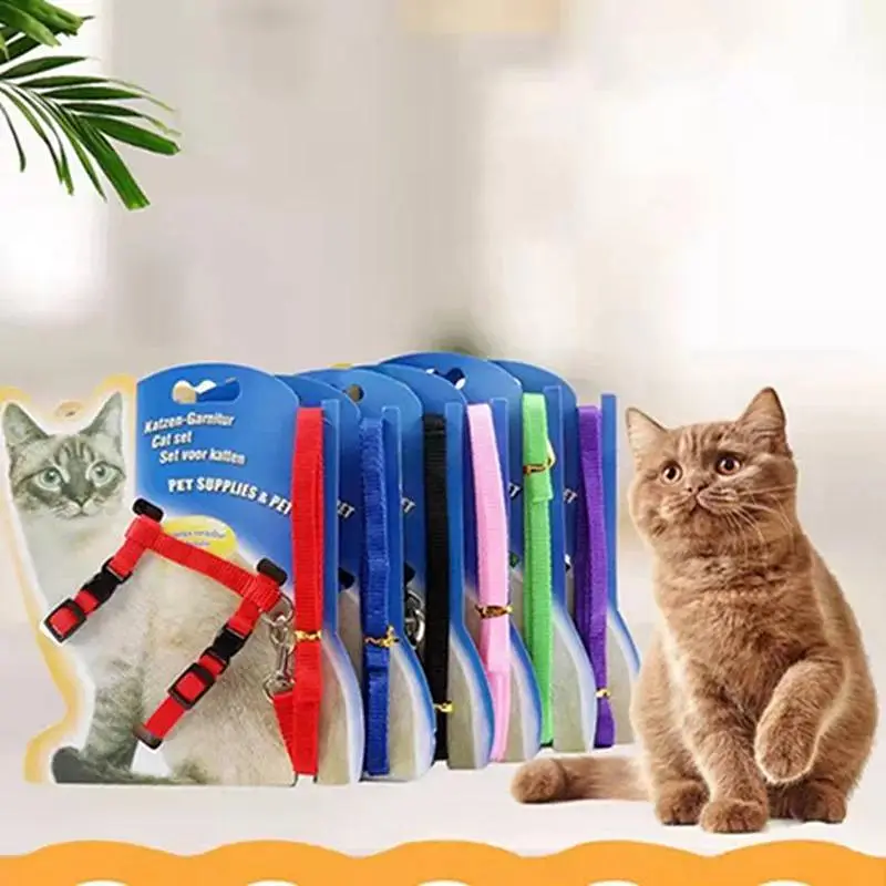 CAT FOOD BUSINESS — photo 8