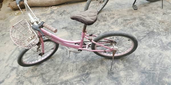 Cycle fot 10 Years Girl