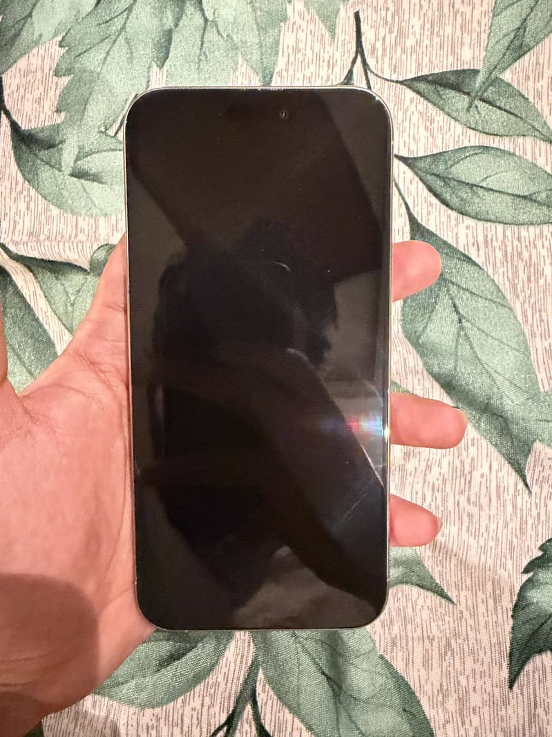 Apple iPhone 15 Pro Max 1