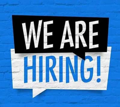 Female Required for Digital Media Marketing for IT Company