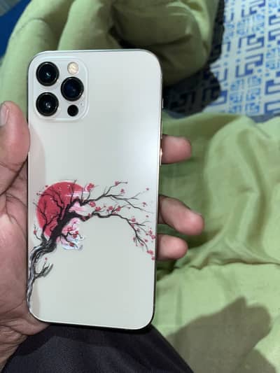Apple iPhone 12 Pro