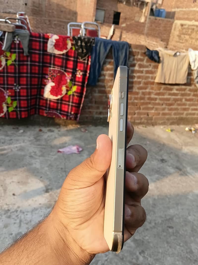 Apple iPhone 12 Pro Max 4