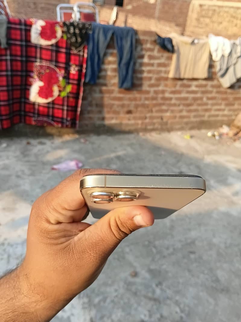 Apple iPhone 12 Pro Max 5