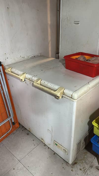 d freezer with nice condition