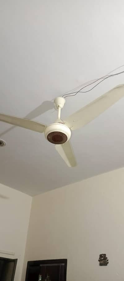 Ceiling Fan "56"