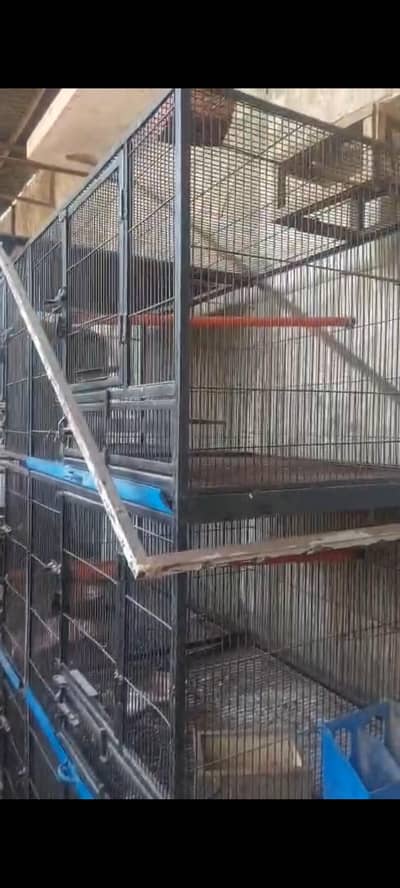 cage for sale