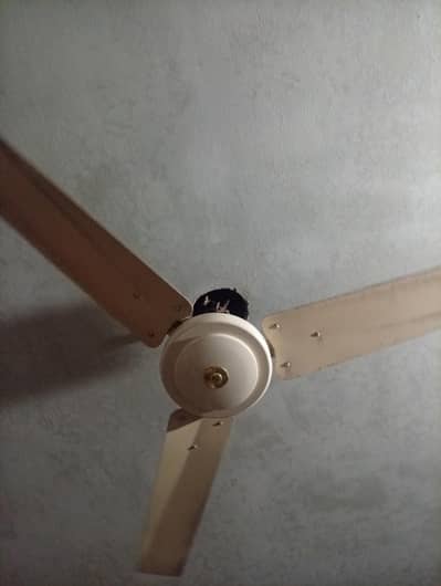fan all okay no problem