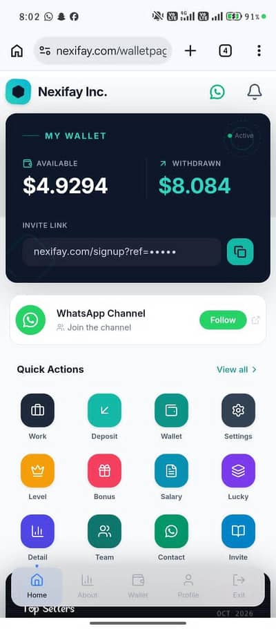 Online work Nexifay