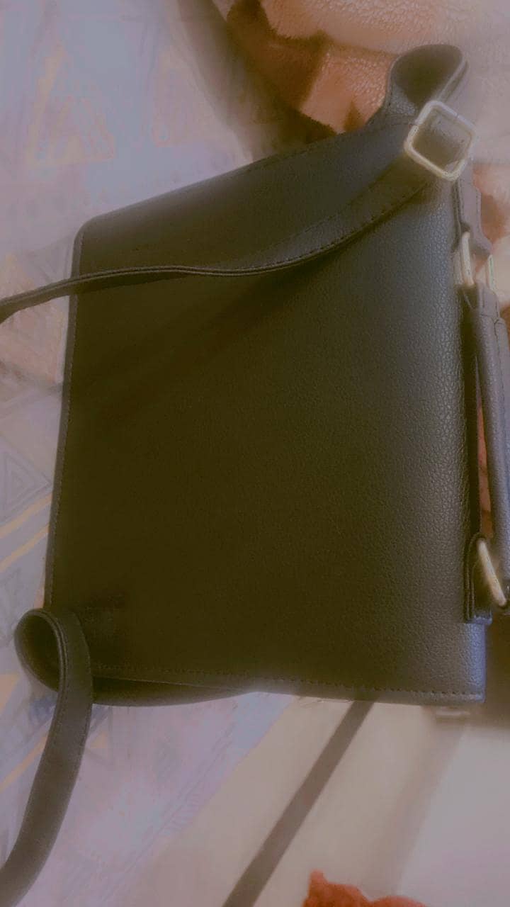 bagss 2