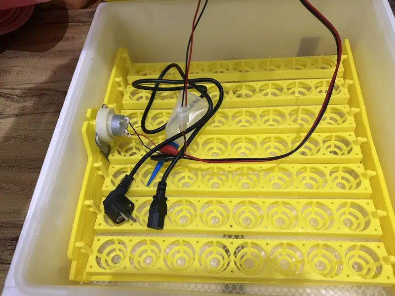 Incubator for Sale – Brand New, Unused 48-Egg — photo 3