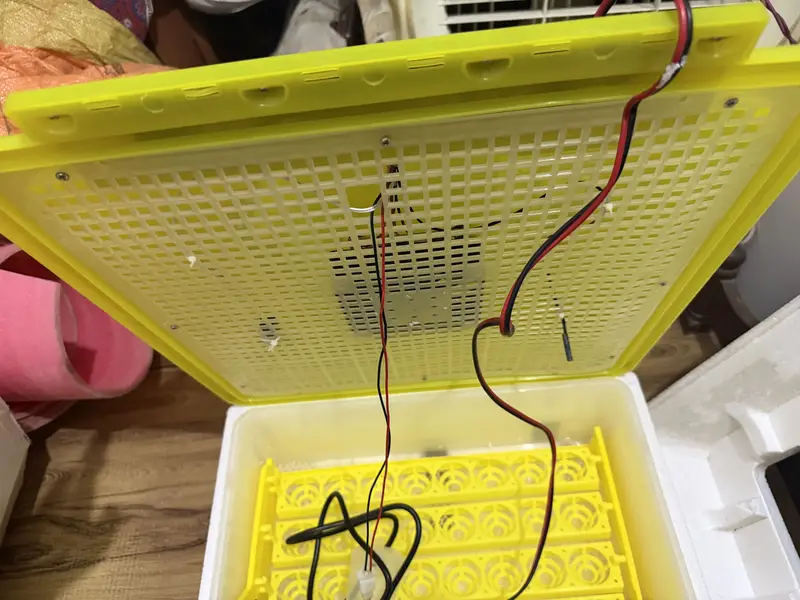 Incubator for Sale – Brand New, Unused 48-Egg — photo 6