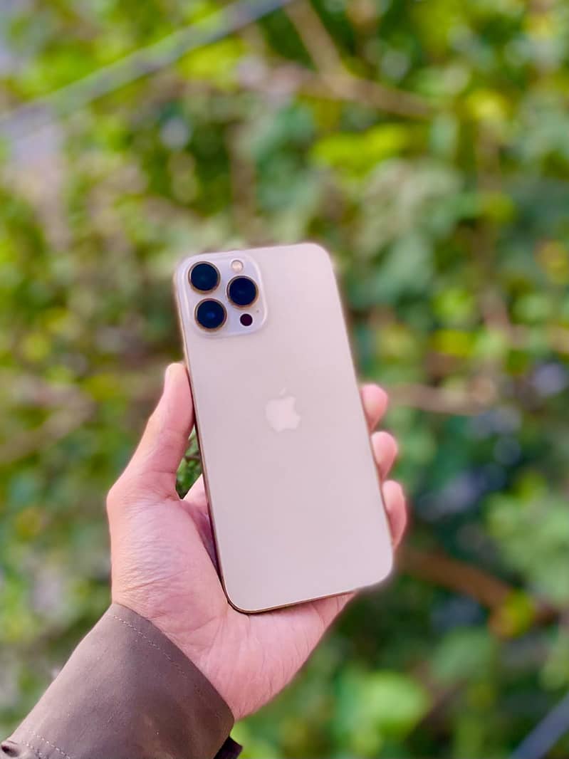 IPHONE 13 PRO MAX WATERPACK 1