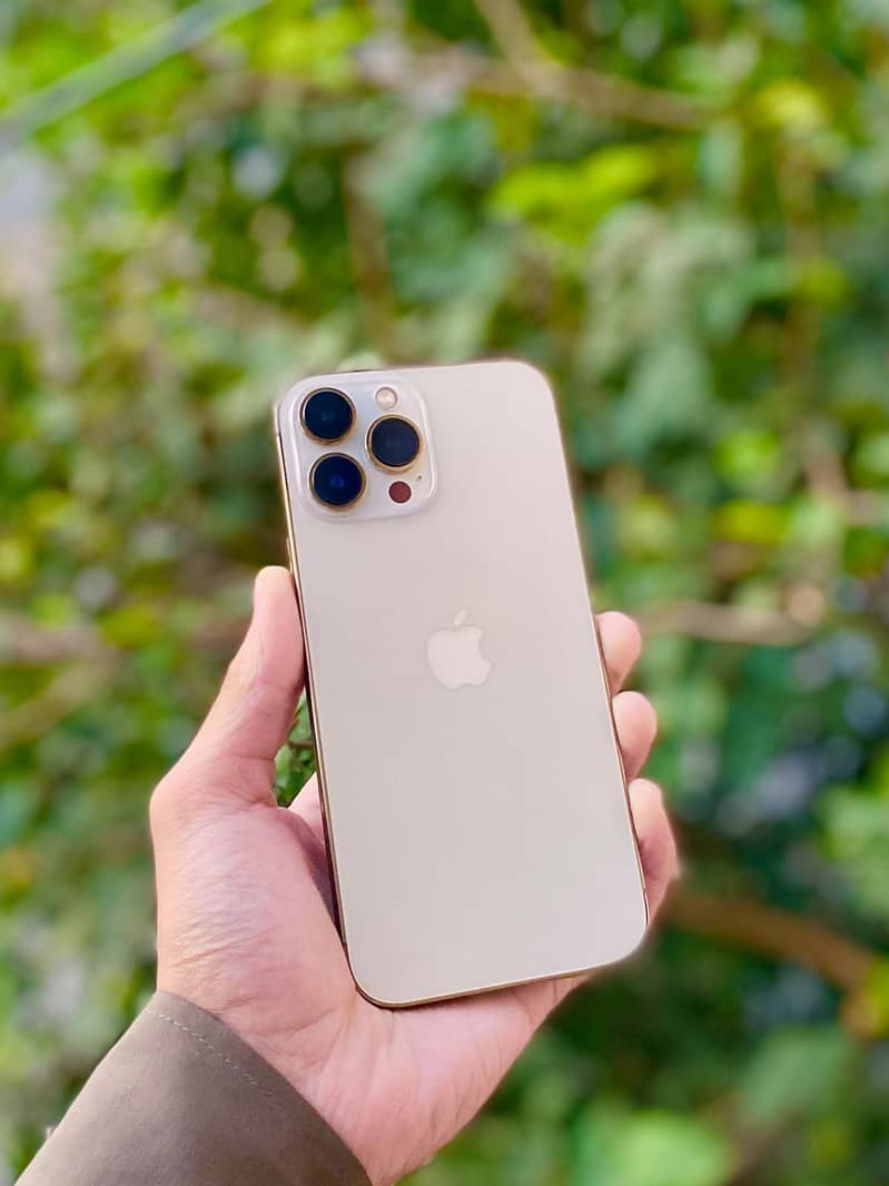 IPHONE 13 PRO MAX WATERPACK 2