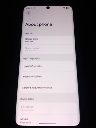 Google Pixel 6 Pro
