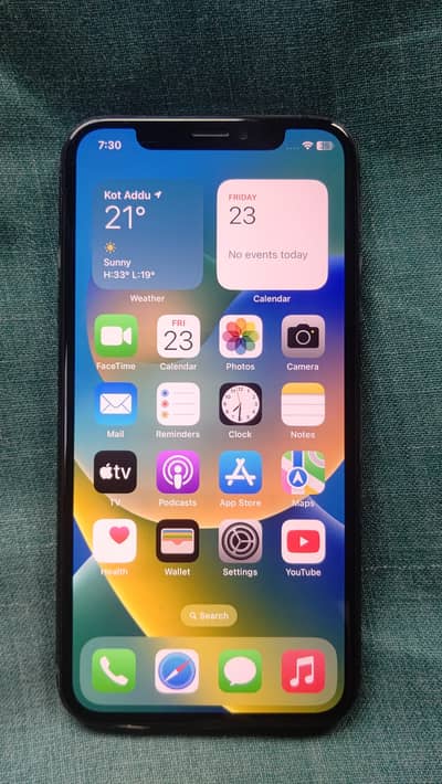 Apple iPhone X
