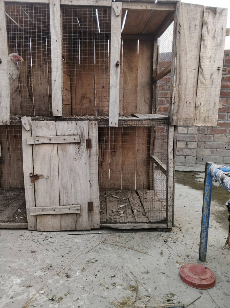 hen cage 1