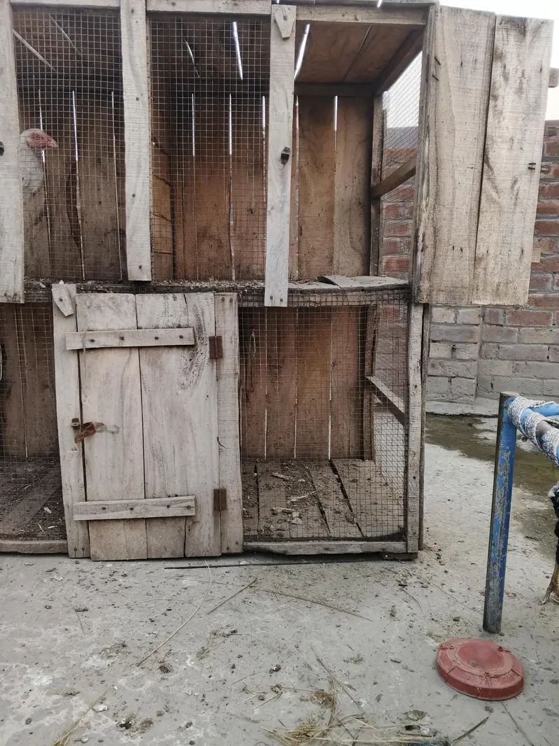 hen cage — photo 2