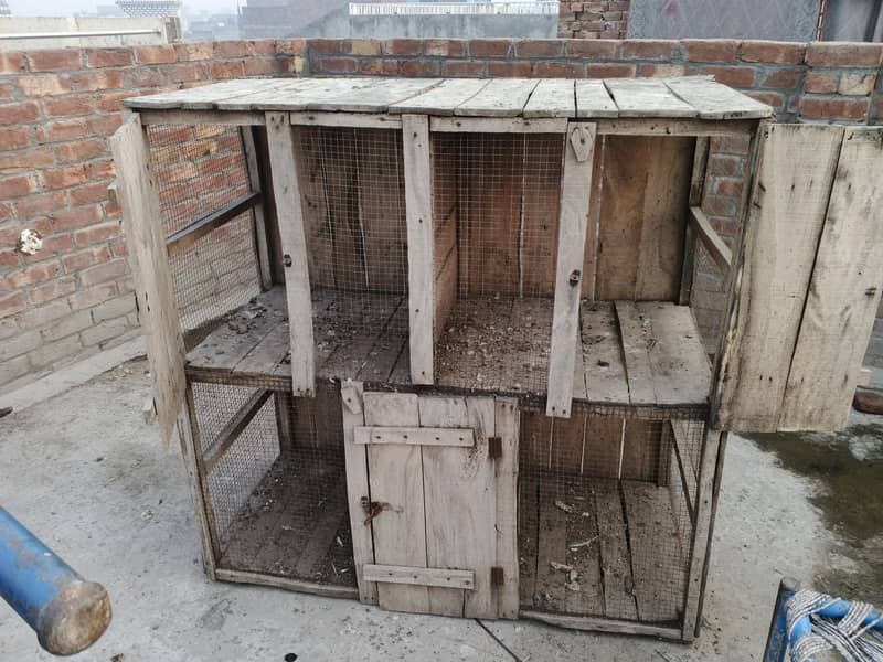 hen cage 2