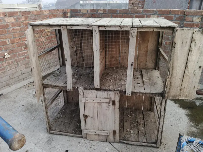 hen cage — photo 3