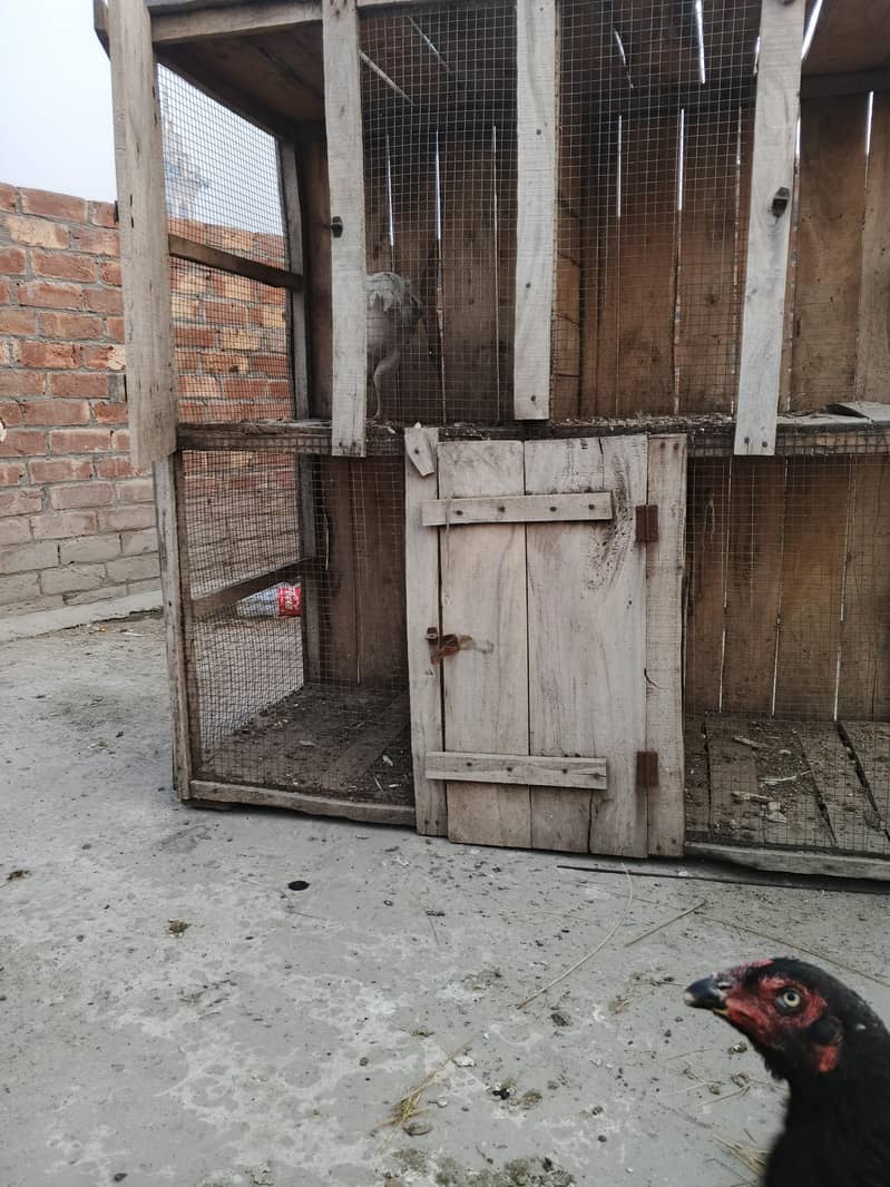 hen cage 3