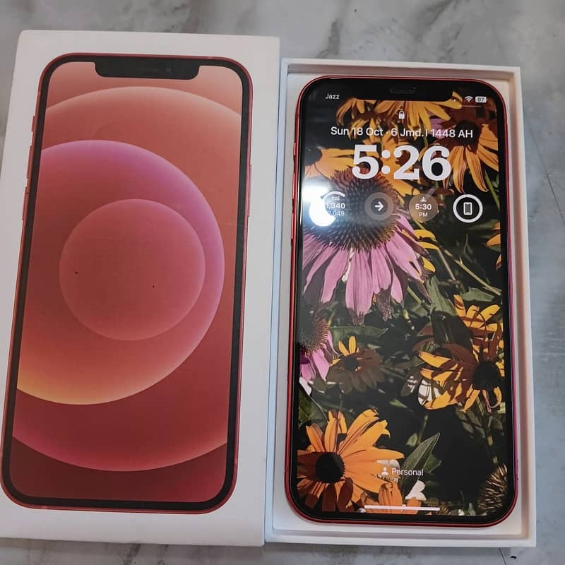Apple iPhone 12 6