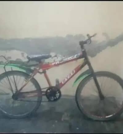 big Bicycle hai