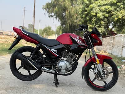 YAMAHA YBR 03313939676