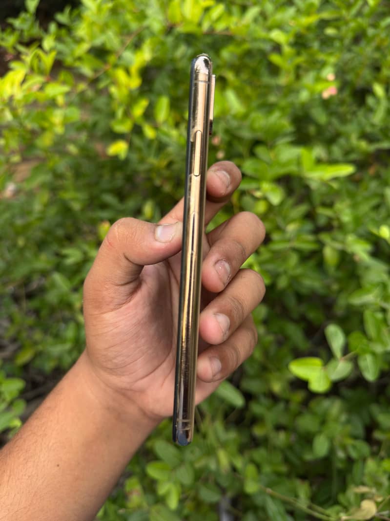 Apple iPhone XS Max 2