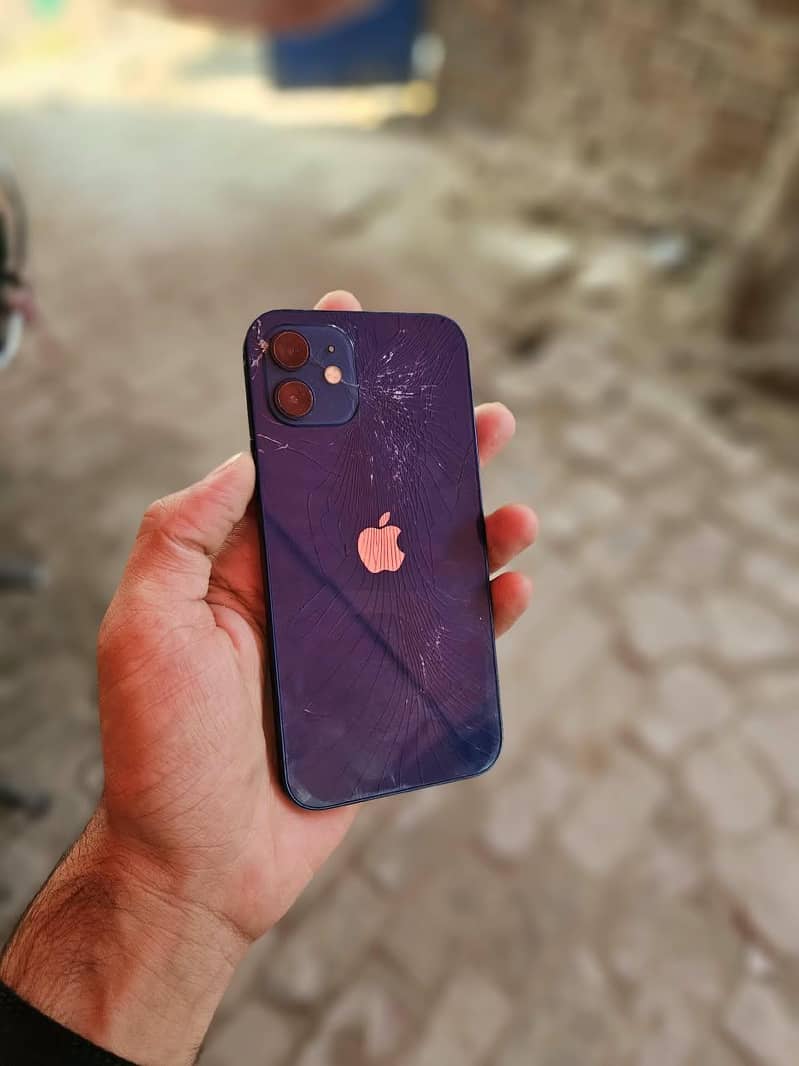 Apple iPhone 12 2