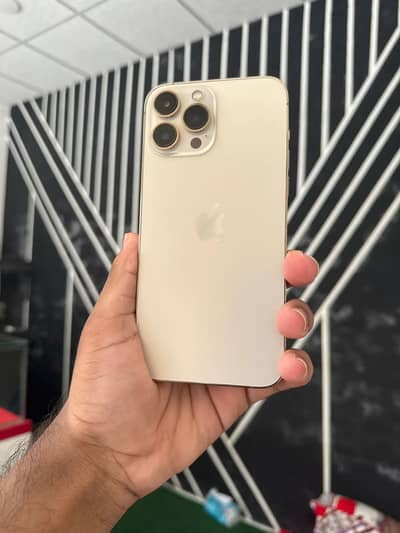 Apple iPhone 13 Pro Max