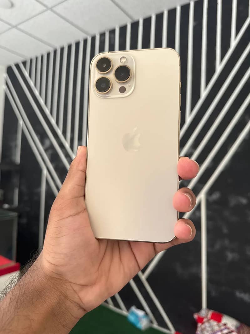 Apple iPhone 13 Pro Max 0