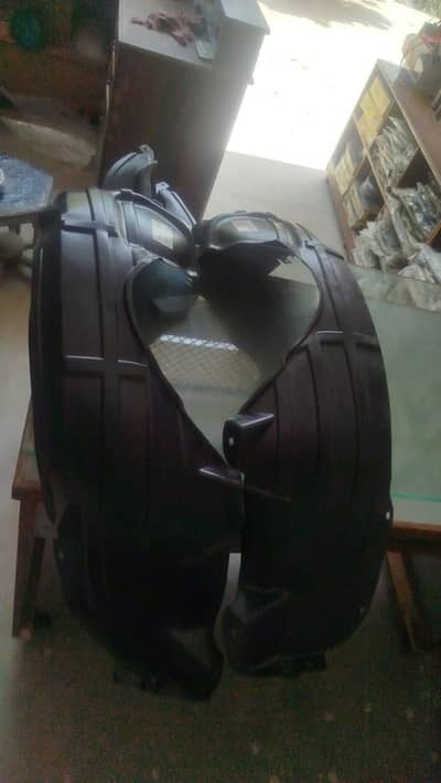 Proton Saga Fender Shield