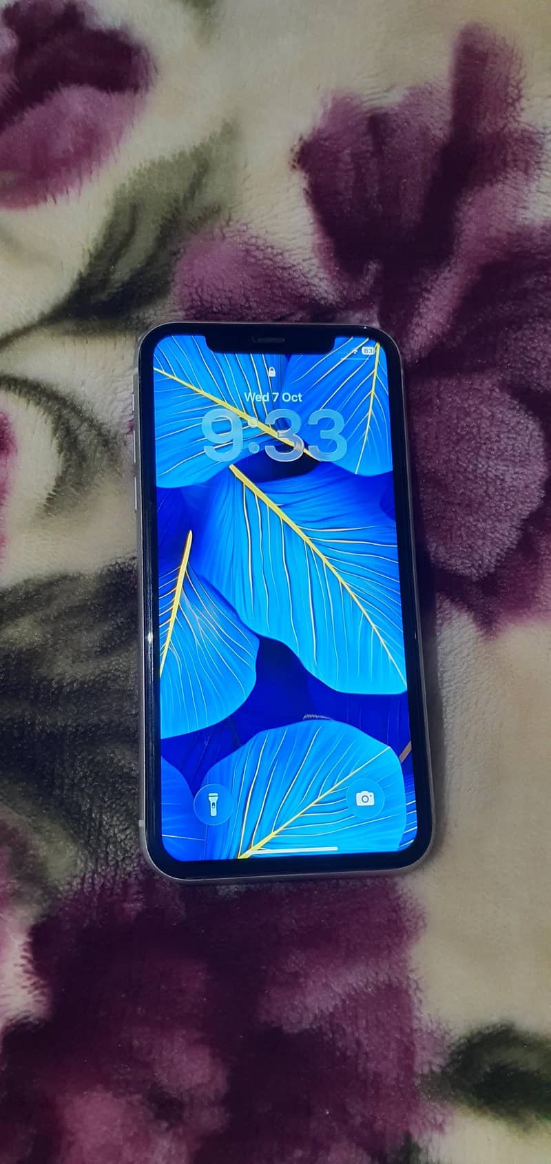 Apple iPhone 11 4