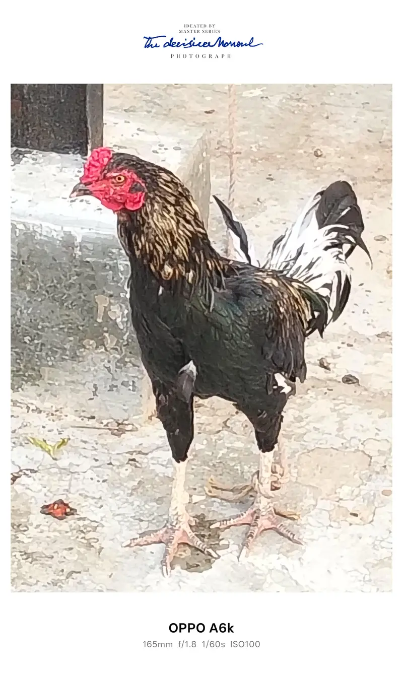 central park Housings saleem lahore — photo 2