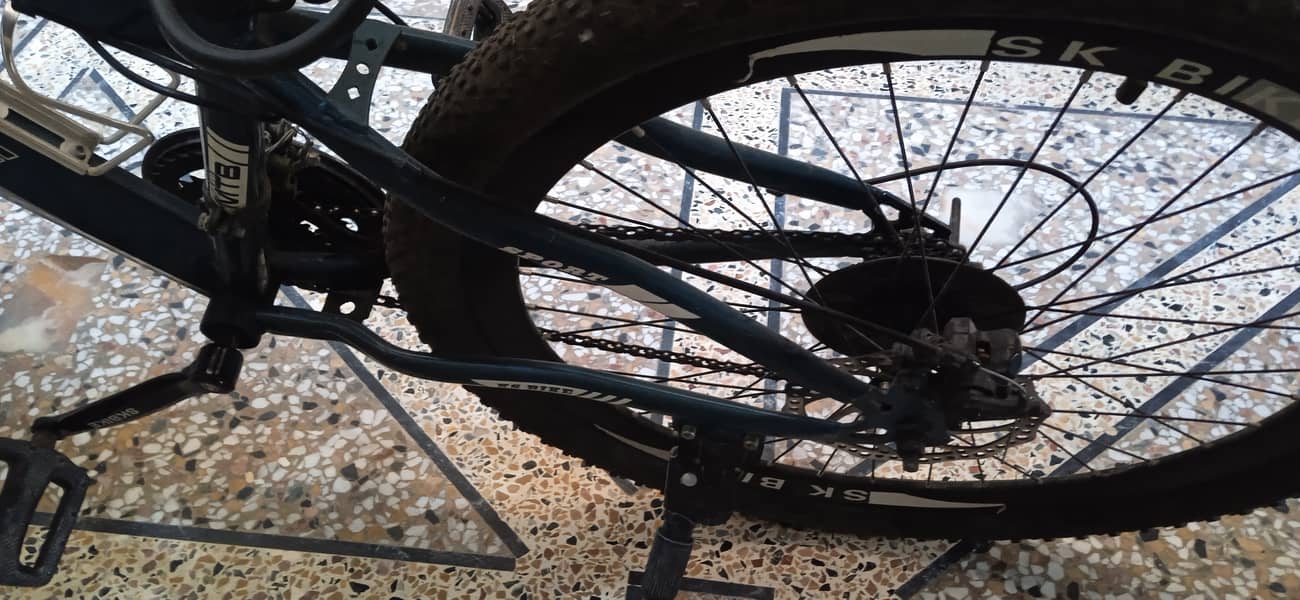sk bicycle 2